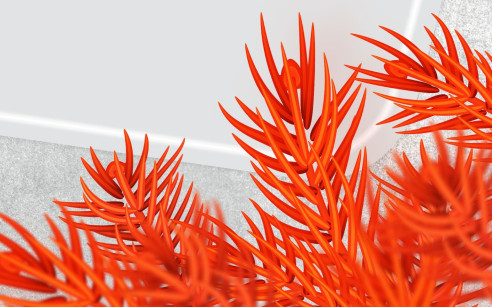 Skutečně rodinné Vánoce